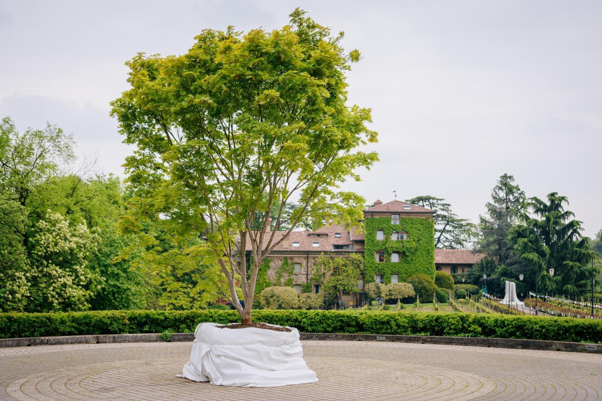 L'Albereta Relais & Chateaux Erbusco Exterior photo